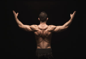 Muscles du dos : Importance d’une bonne musculation